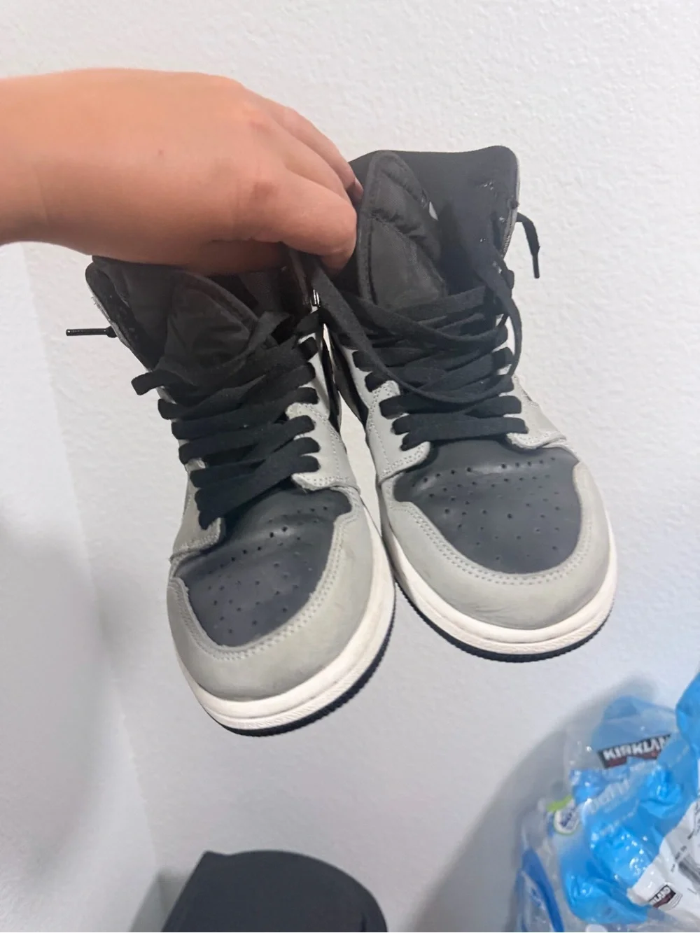 Jordan retro 1 high shadow 2.0